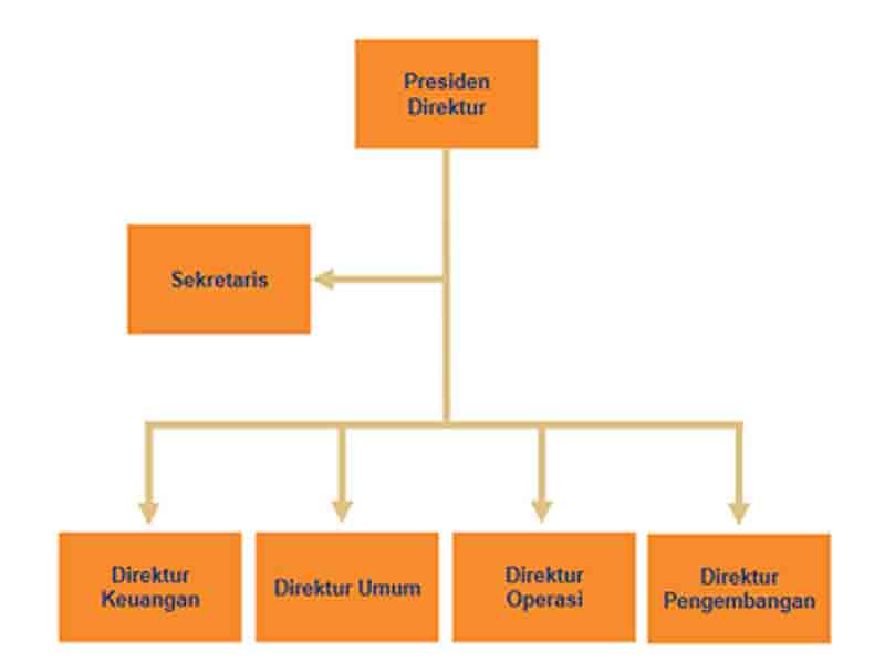 bagan-perusahaan-1--primasolution